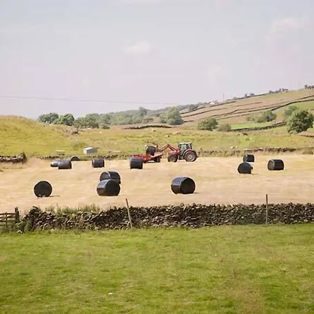 Semesterbostad Dale House Farm *