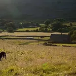 Dale House Farm